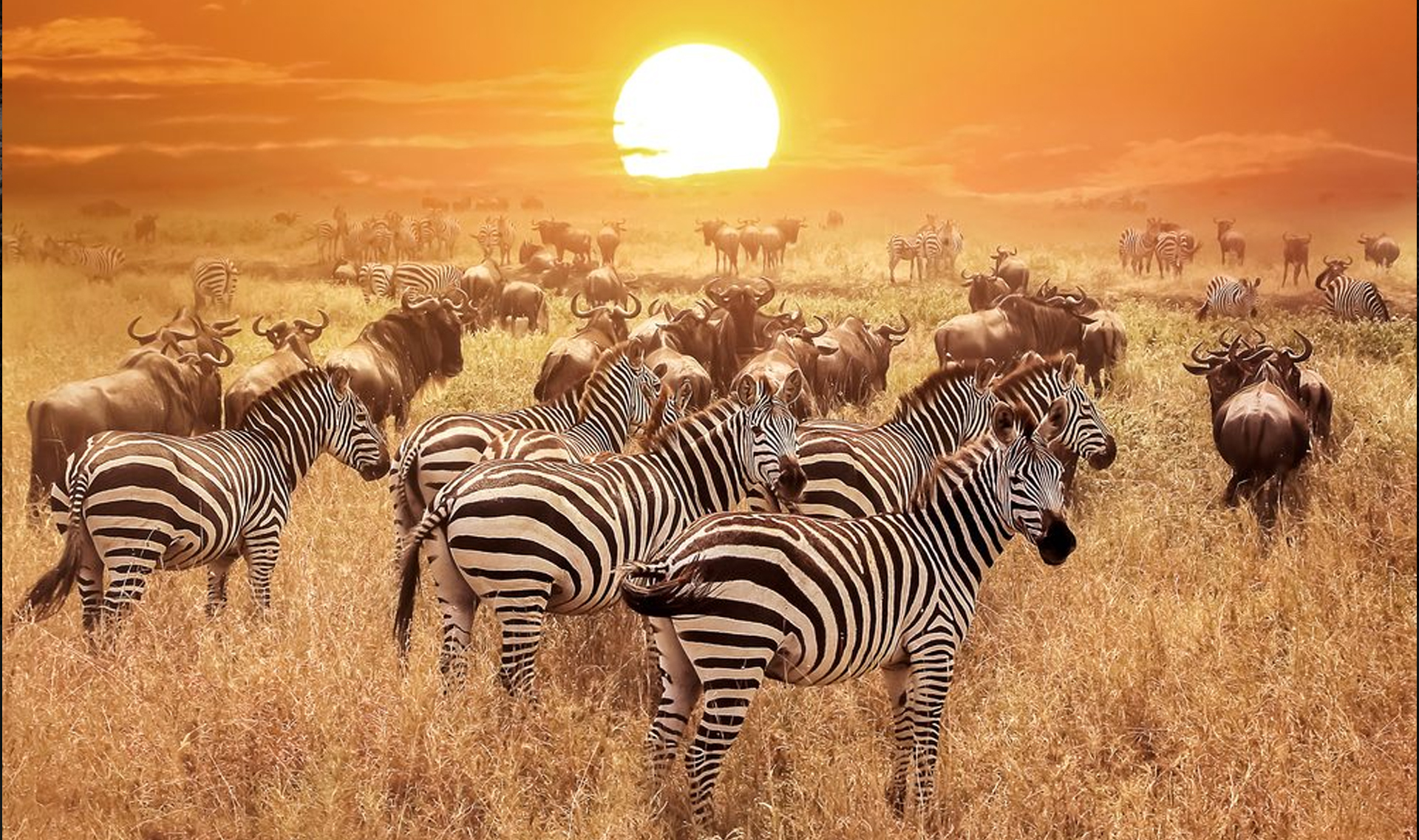 Crater to Coast — safari package