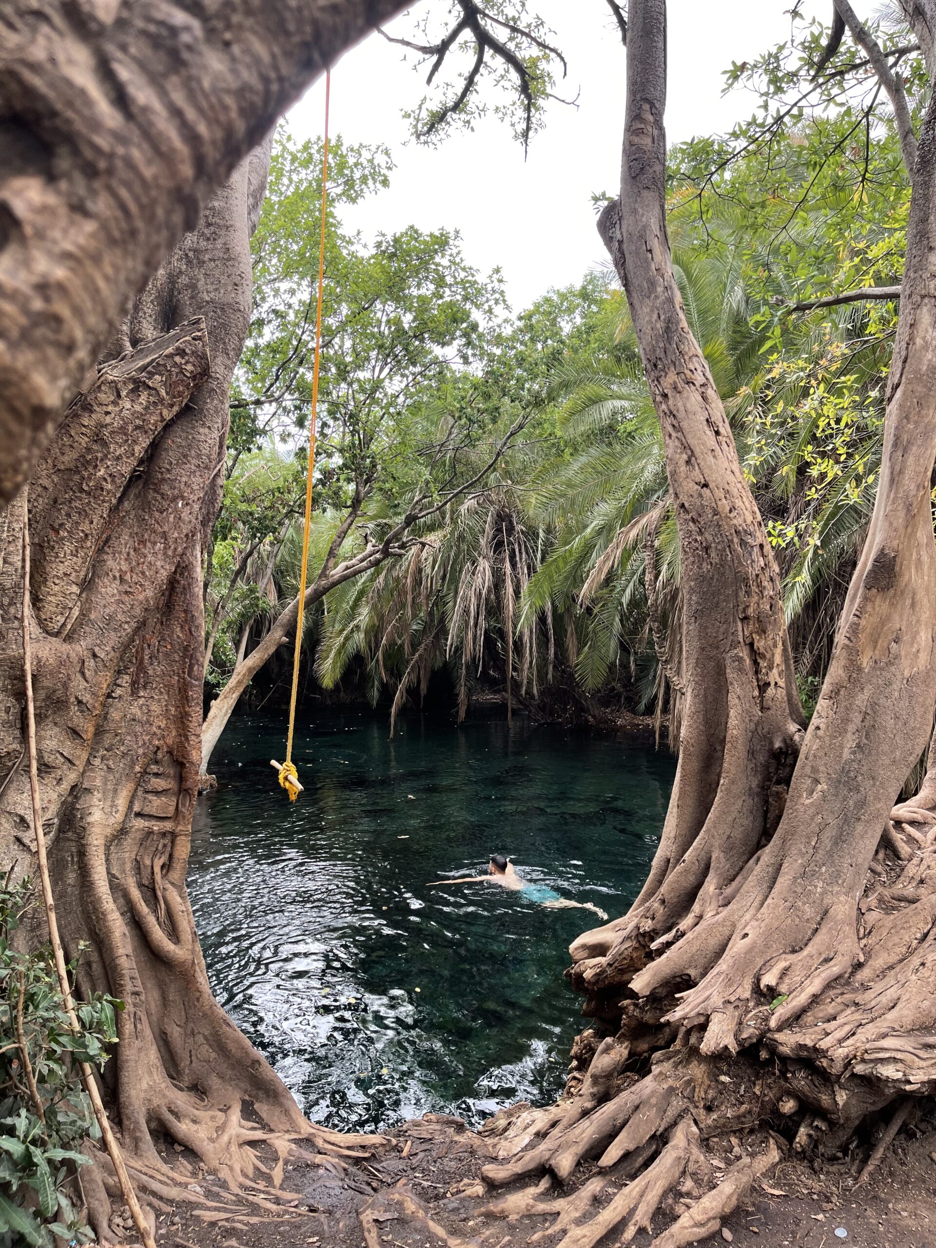 Guided day excursion with local guide