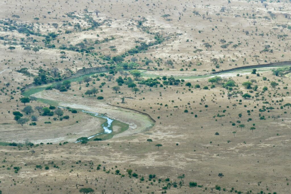 Huge elephant herds in dry season